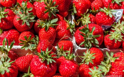 Koserow Truskawkowe Miasteczko atrakcyjny plasc zabaw dla dzieci