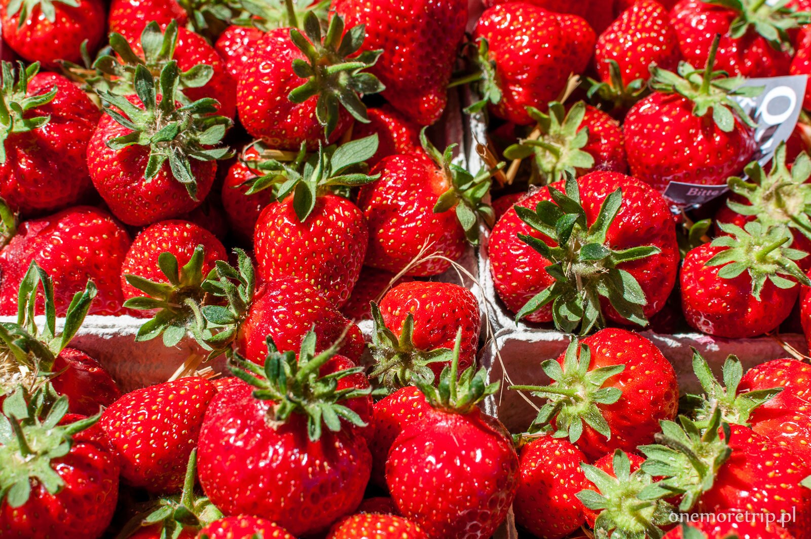 Koserow Truskawkowe Miasteczko atrakcyjny plasc zabaw dla dzieci