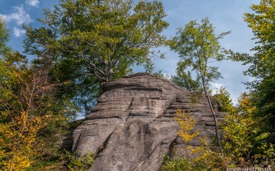 sokoliki i lwia góra
