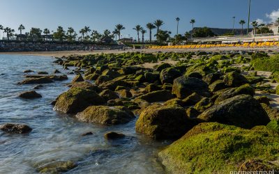 Plaża Amadores - błękitna woda, złoty piasek, zielone kamienie